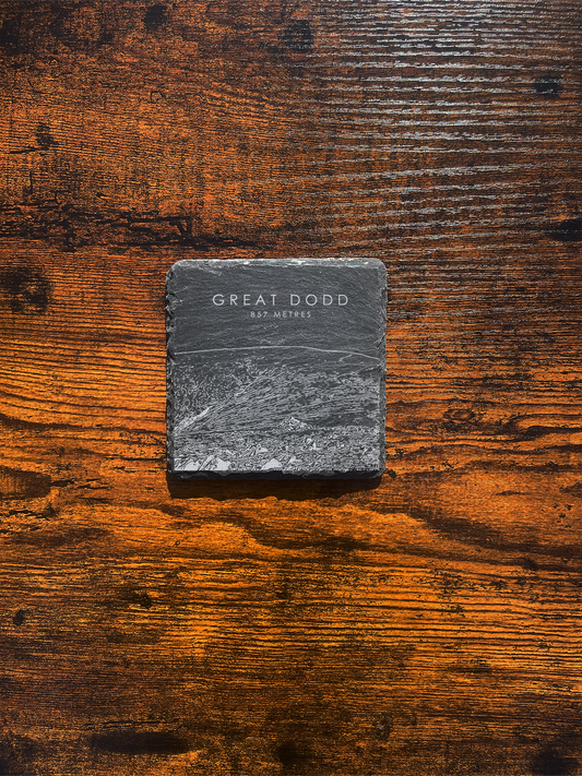 Great Dodd Coaster ⇻ Sketch