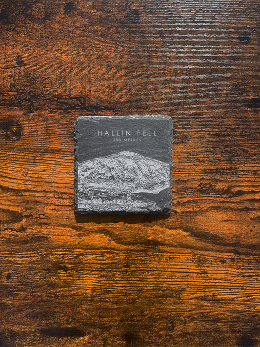 Hallin Fell Coaster ⇻ Sketch