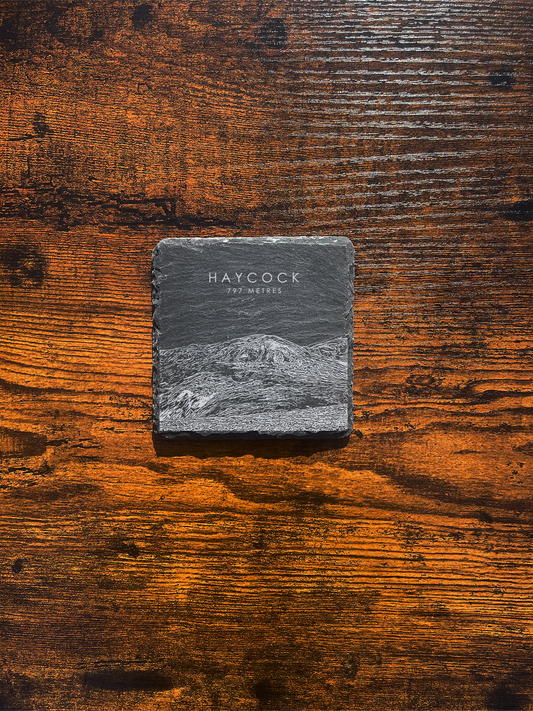 Haycock Coaster ⇻ Sketch