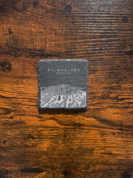 Kilimanjaro Coaster ⇻ Sketch