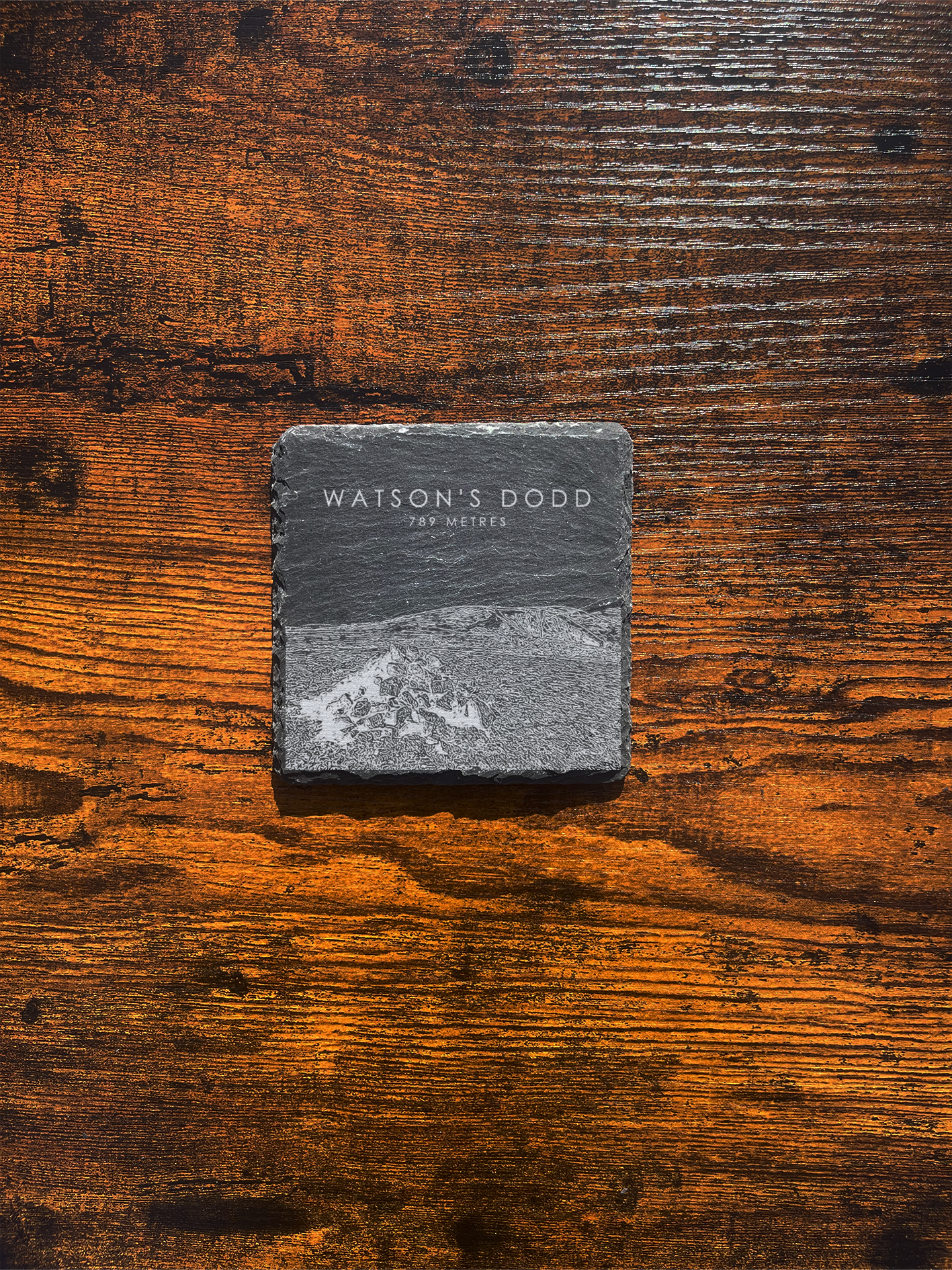 Watson's Dodd Coaster ⇻ Sketch