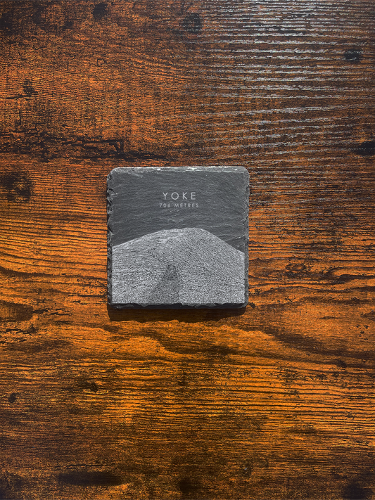 Yoke Coaster ⇻ Sketch