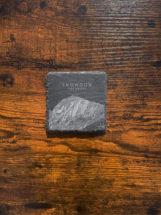 Snowdon Coaster ⇻ Sketch