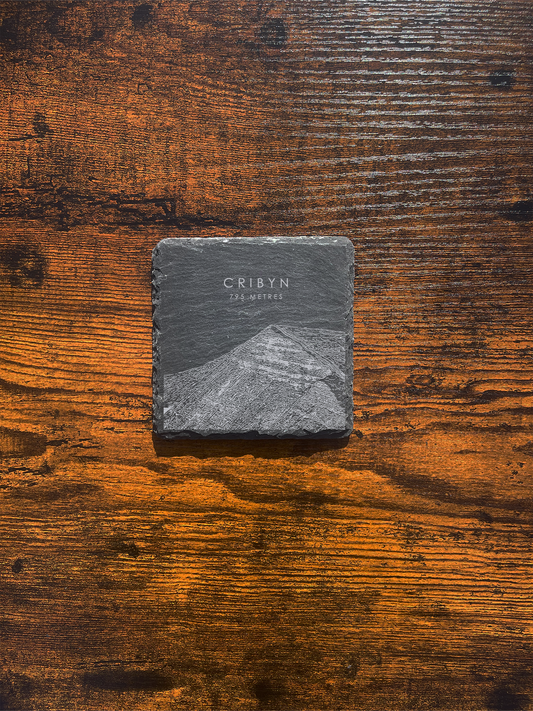 Cribyn Coaster ⇻ Sketch