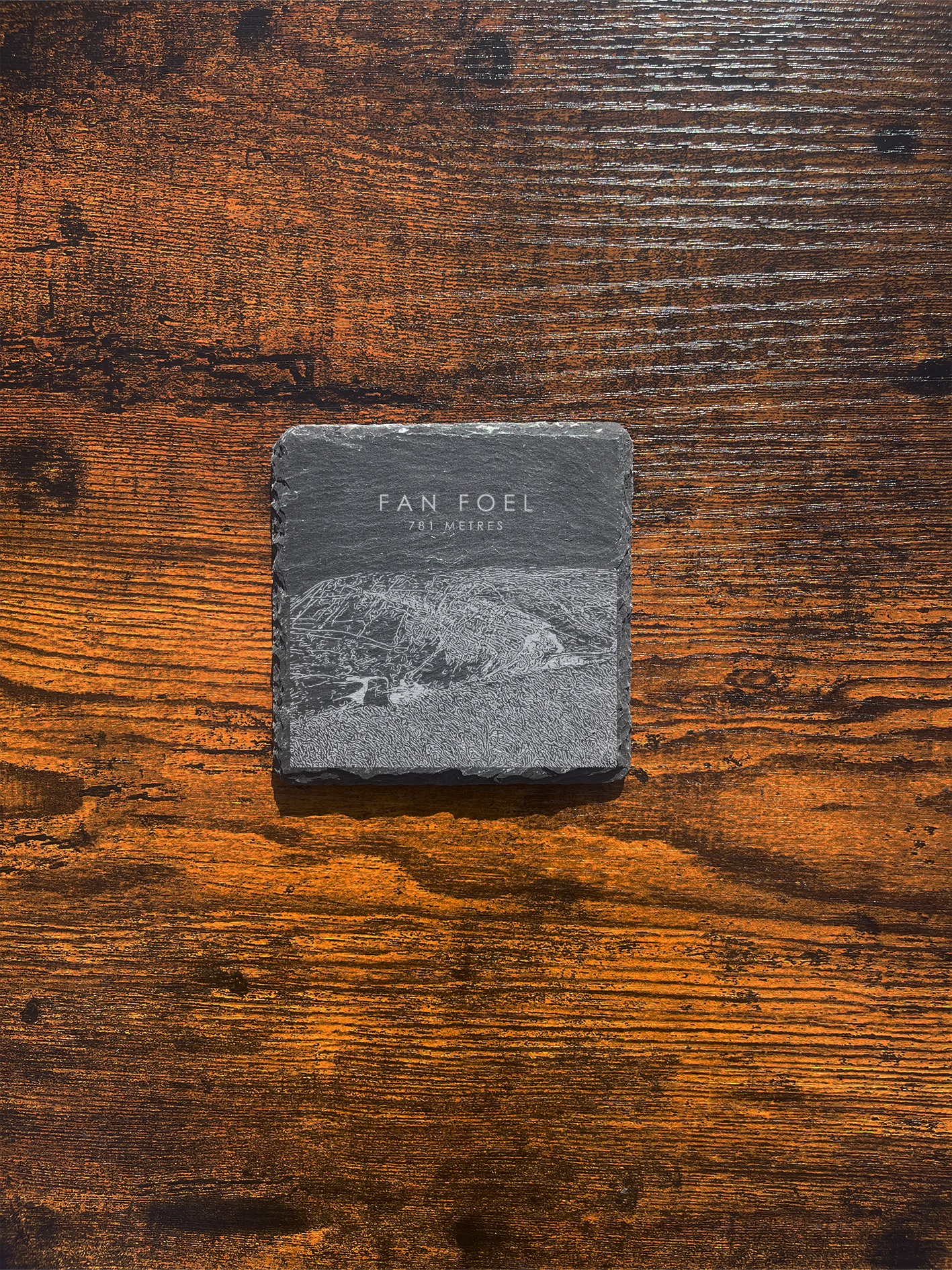 Fan Foel Coaster ⇻ Sketch