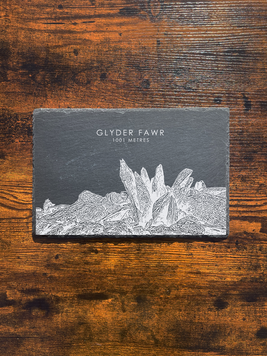 Gylder Fawr Placemat ⇻ Sketch
