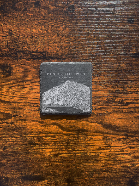 Pen yr Ole Wen Coaster ⇻ Sketch
