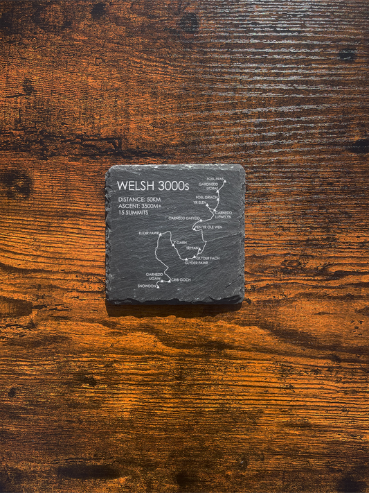 Welsh 3000s Coaster ⇻  Route