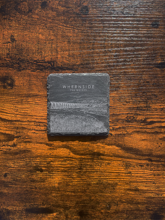 Whernside Coaster ⇻  Sketch